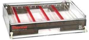 Owl A3-1 Large-Gel Electrophoresis System