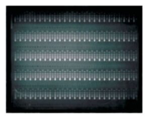 Owl A3-1 Large-Gel Electrophoresis System