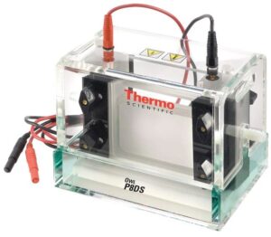 Owl Dual-Gel Vertical Electrophoresis Systems-P8DS