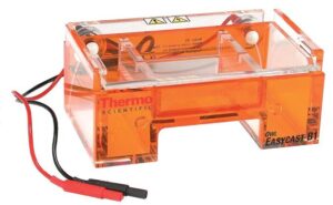 Owl™ EasyCast™ B1 Mini Gel Electrophoresis Systems