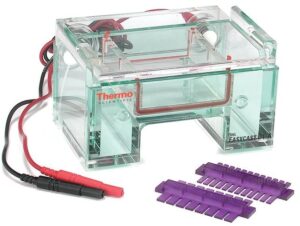 Owl EasyCast B1A Mini Gel Electrophoresis Systems