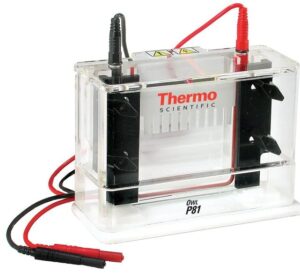 Owl P81 Single-Sided Vertical Electrophoresis System