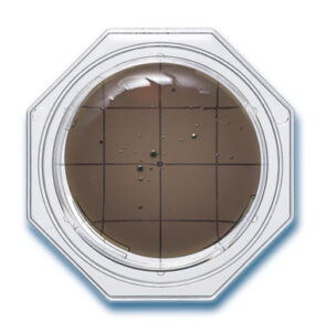 TCBS Agar Food Stamp