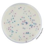 Salmonella Enrichment Salmonella Enrichment