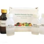 Borax Detection Test Kit