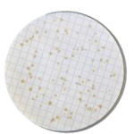 Nutrient Pad Sets - BAT-NPS