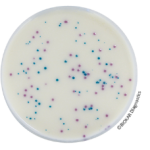 IRIS Salmonella® supplement - Tablets