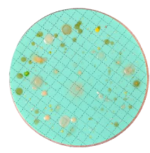 Nutrient Pad Sets - m-TGE-NPS