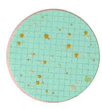 Nutrient Pad Sets-Plate Count-NPS