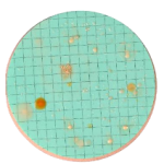 Nutrient Pad Sets-R2A-NPS