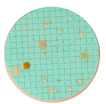 Nutrient Pad Sets-R2A-NPS