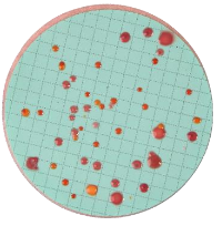 Nutrient Pad Sets-Standard TTC-NPS *