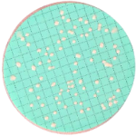 Nutrient Pad Sets -Malt extract-NPS