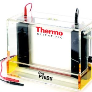 Owl Dual-Gel Vertical Electrophoresis Systems-P10DS