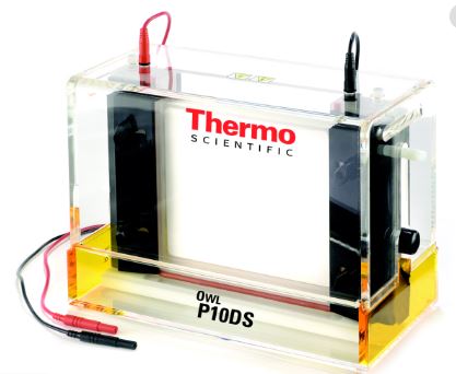 Owl Dual-Gel Vertical Electrophoresis Systems-P10DS