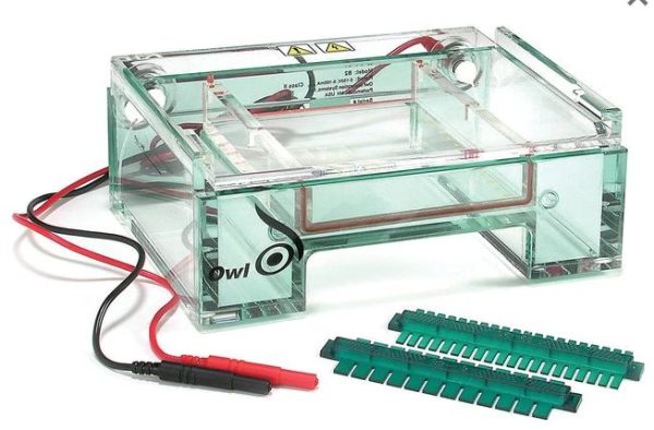 Owl EasyCast B2 Mini Gel Electrophoresis Systems