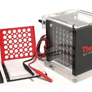 Owl VEP-2 Mini Tank Electroblotting System