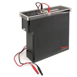 Owl VEP-3 Large Tank Electroblotting System