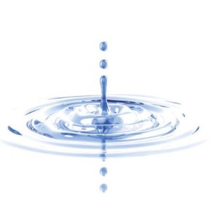 Point of Use Filter Inserts