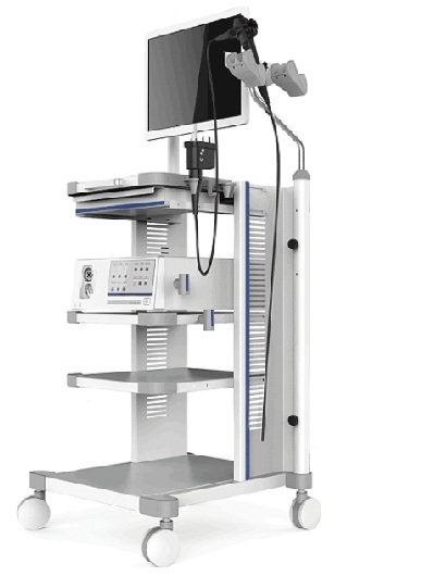 Endoscope Video System VME-98