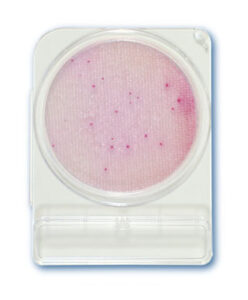 Compact Dry ETB(Enterobacteriacae)