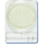 Compact Dry VP (Vibrio Parahaemolyticus)