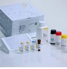 Caseins ELISA Kit