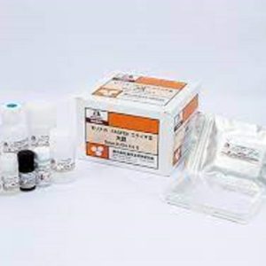 Soybean Allergen Arh1