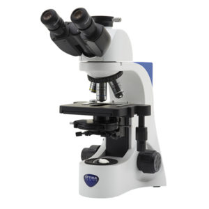 B-383PH Trinocular Phase Contrast Microscope, 1000x, PLAN, Multi-plug ...