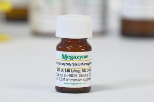 3-Hydroxybutyrate dehydrogenase (prokaryote)