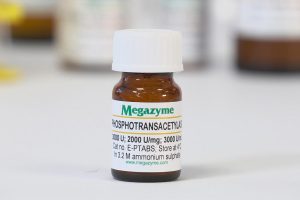 Phosphotransacetylase (Bacillus subtilis)