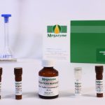 Hydrogen Peroxide Assay Kit (Megaplex Red)
