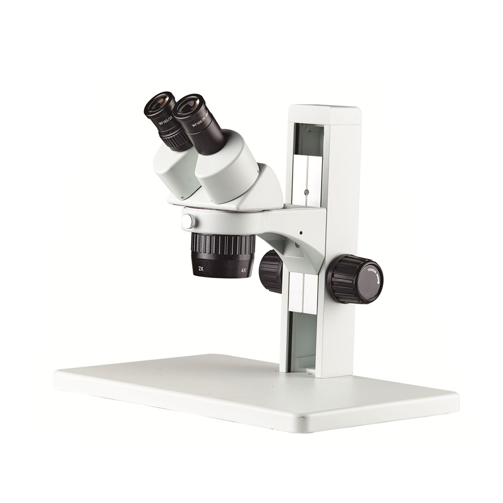 ST6024-B5-20X-40X-Stereo-Microscope