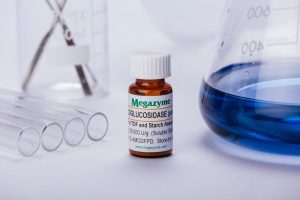 Amyloglucosidase (Aspergillus niger) Powder