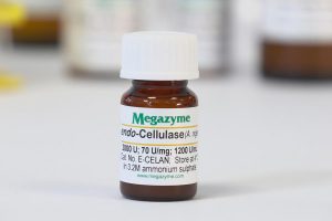 Cellulase (endo-1,4-β-D-glucanase) (Aspergillus niger)