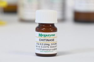 Chitinase (Clostridium thermocellum) 