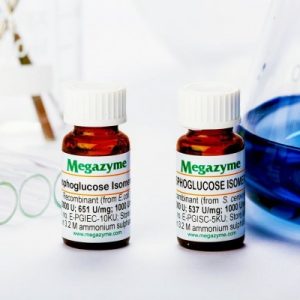 Phosphoglucose isomerase (Saccharomyces cerevisiae)