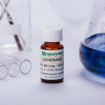Lichenase (endo-1,3:1,4-β-D-Glucanase) (Bacillus subtilis)