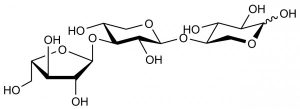 32-α-L-Arabinofuranosyl-xylobiose (A3X) 