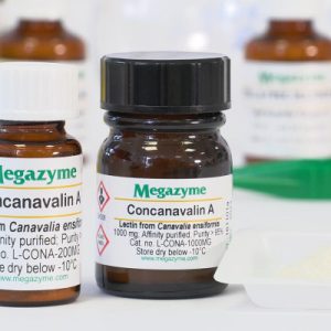 Concanavalin A (Con A)