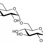 Isomaltose