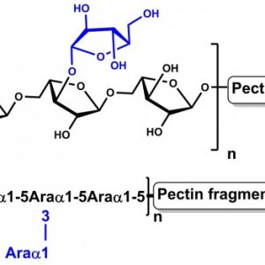 Arabinan (Sugar Beet)