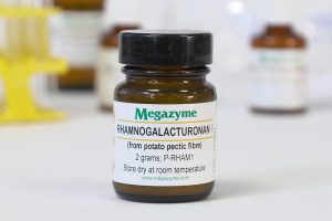 Rhamnogalacturonan I (Potato)