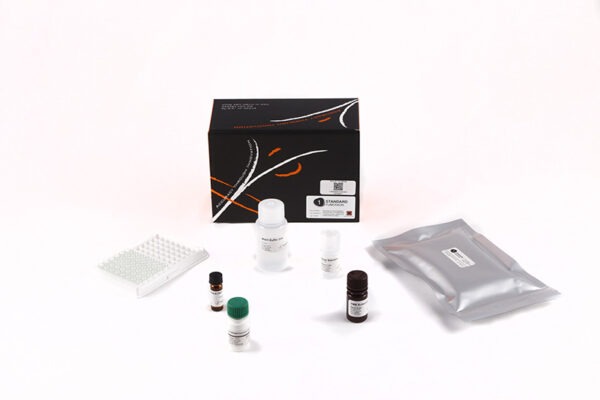 1-Standard-Fumonisin-product-600 1-Standard-Fumonisin-product-600