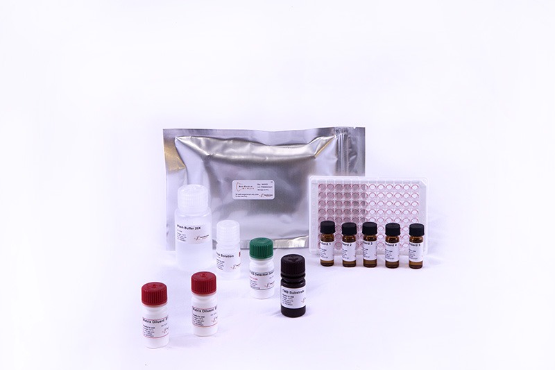 BIO-SHIELD AFLATOXIN B1 EXTRA SENSITIVE (ES)- 48 WELLS - A-MATRIX.NG