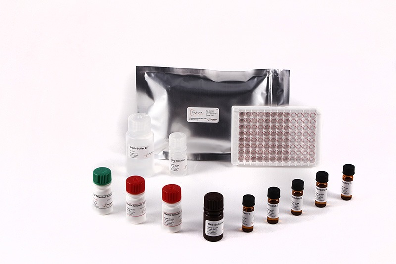 BIO-SHIELD AFLATOXIN B1 OPTIMUM PERFORMANCE (OP)- 48 WELLS - A-MATRIX.NG