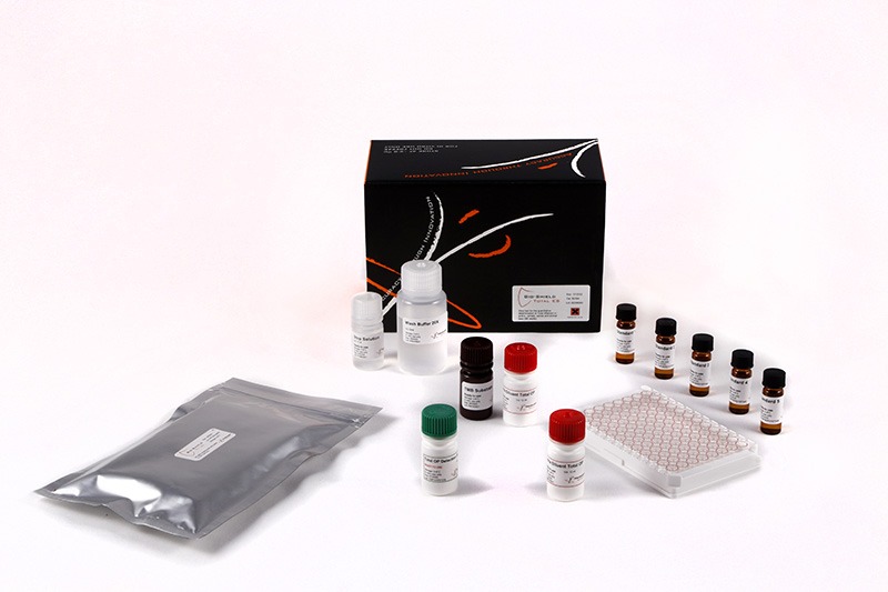 BIO-SHIELD AFLATOXIN TOTAL EXTRA SENSITIVE (ES) - 96 WELLS - A-MATRIX.NG