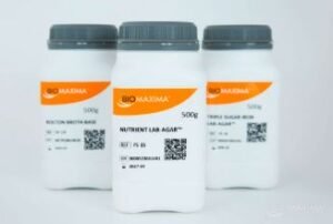 Tryptophan Culture Broth