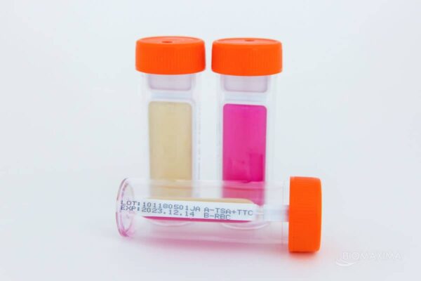 Sabouraud w. Chloramphenicol LAB-AGAR™/ Sabouraud w. Chloramphenicol LAB-AGAR™